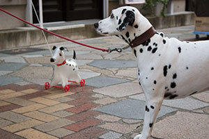 リュックと偽サック