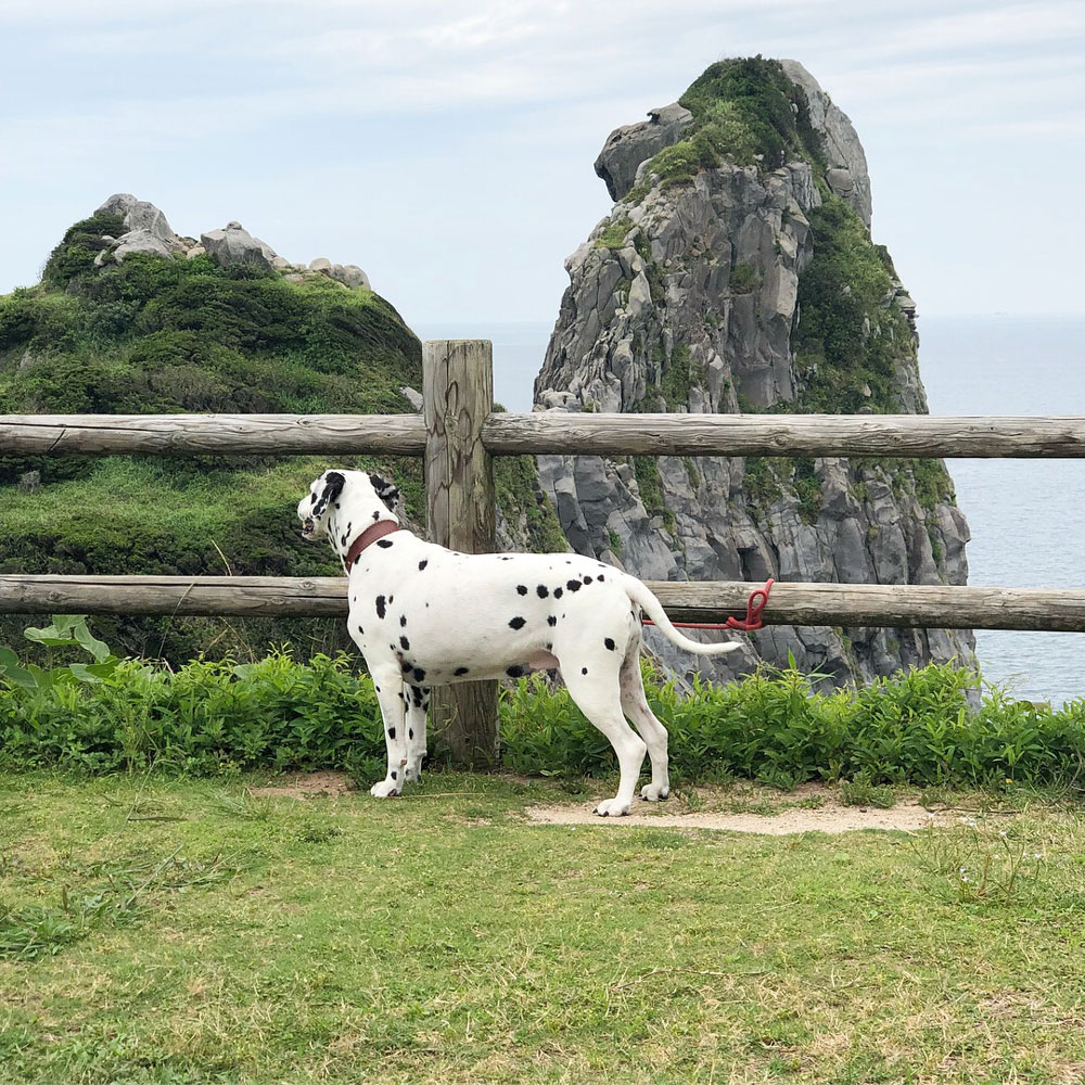 リュックと猿岩