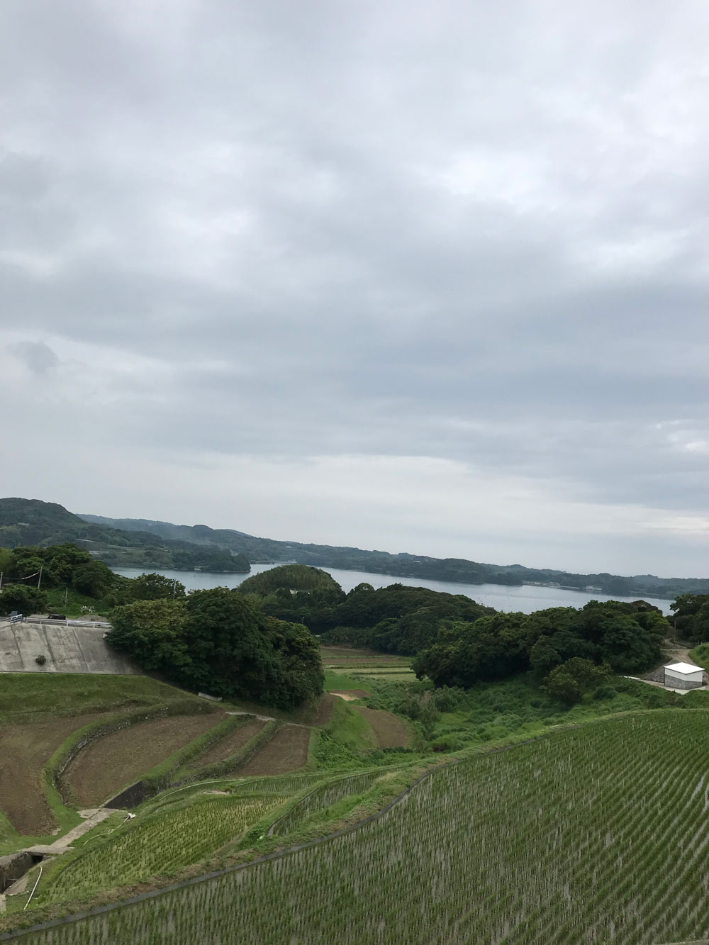 壱岐湯のもと