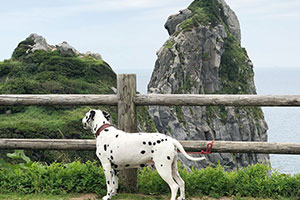 リュックと猿岩