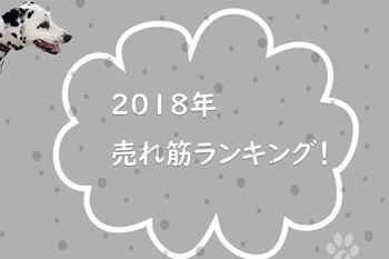 2018売れ筋ランキン