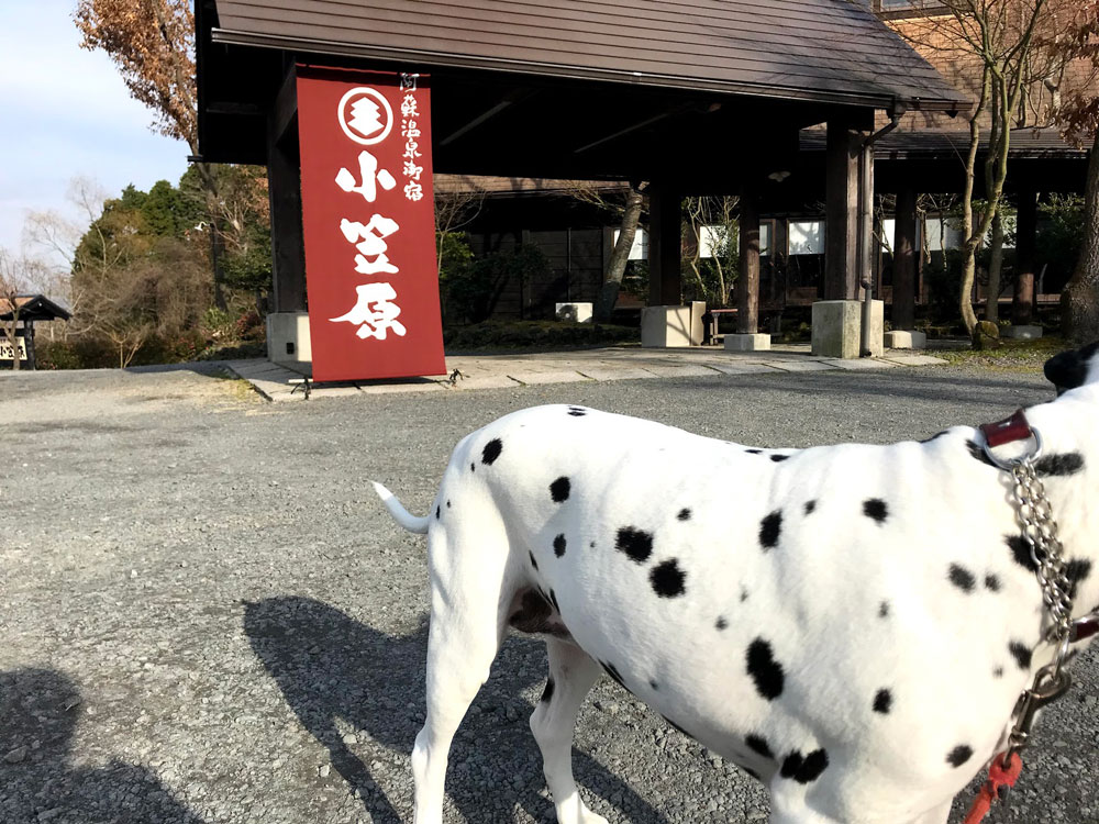 小笠原到着