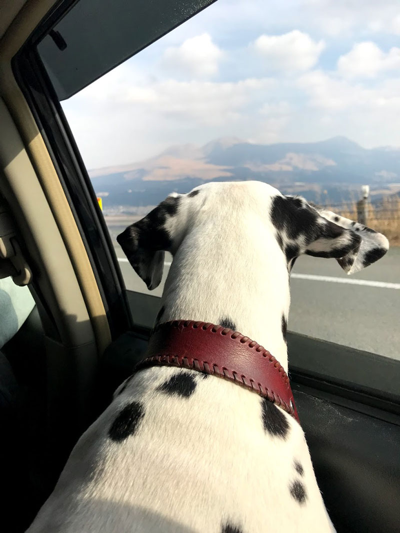 熊本旅行　車内リュック