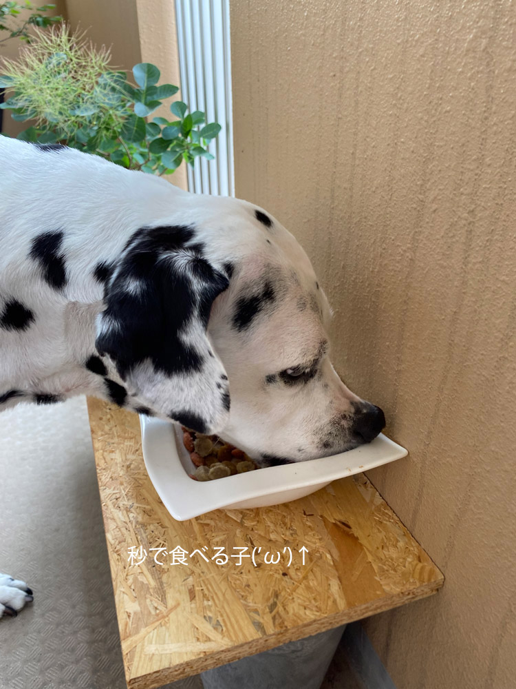 リュック密着2朝ごはん