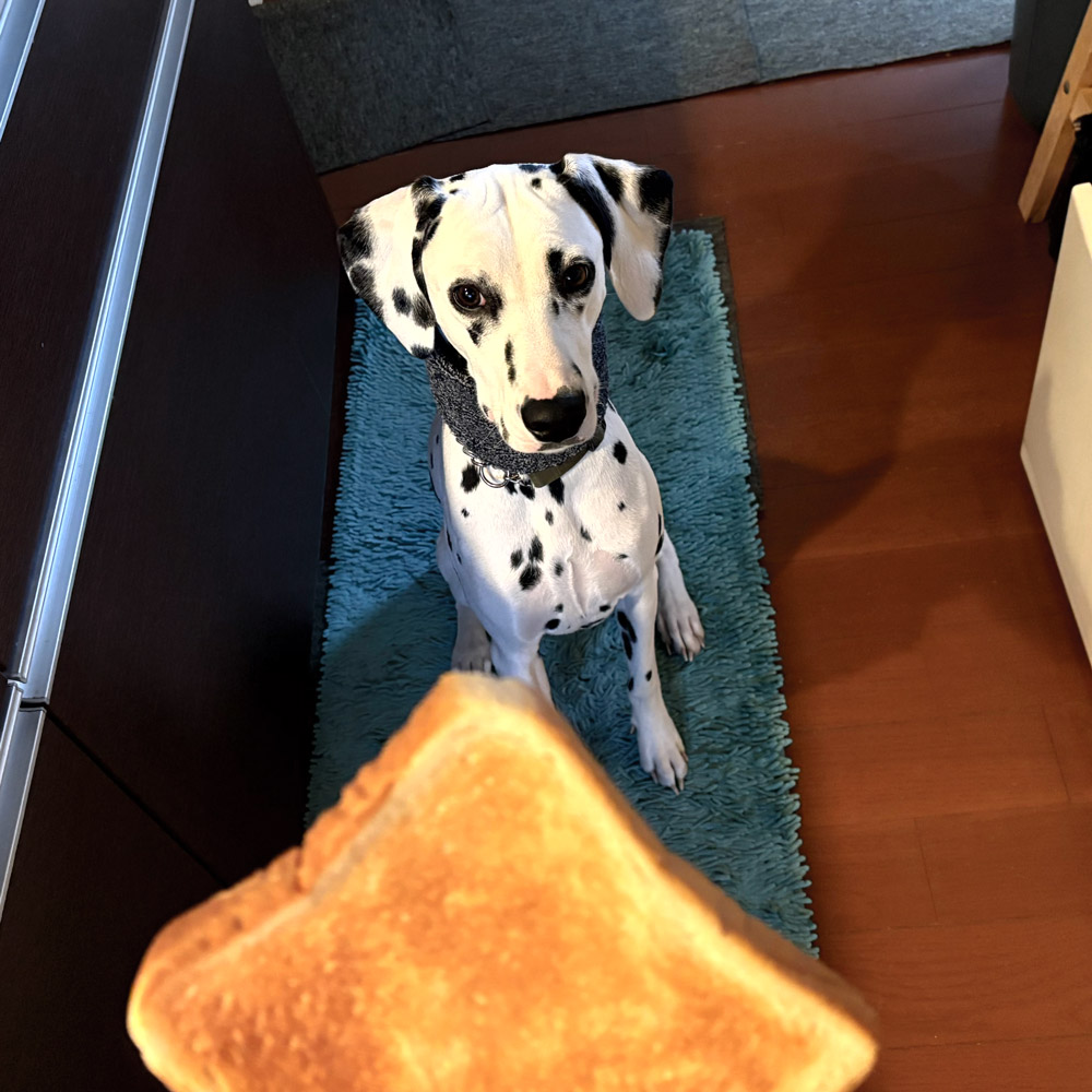 憧れの朝食 サックとパン